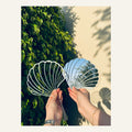 Pack Duo Éventails Coquillage