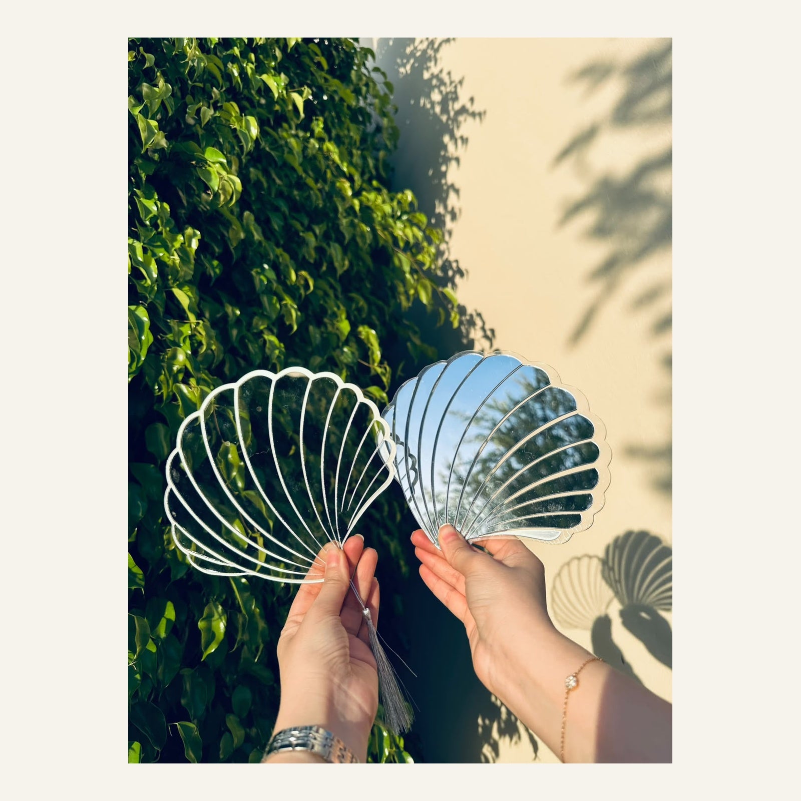 Pack Duo Éventails Coquillage